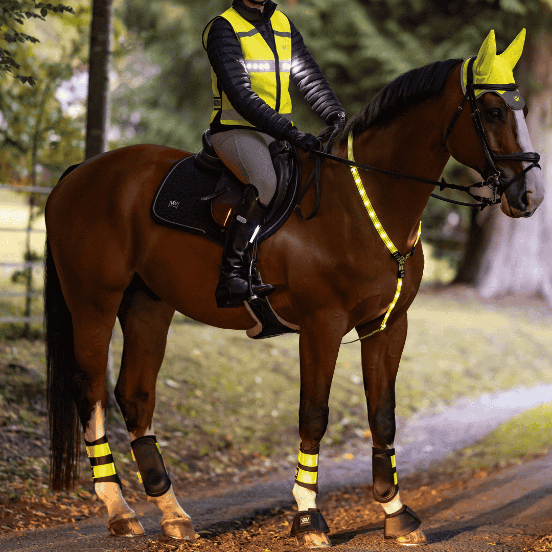 Safety Gear - Horse Safety Gear - Horse