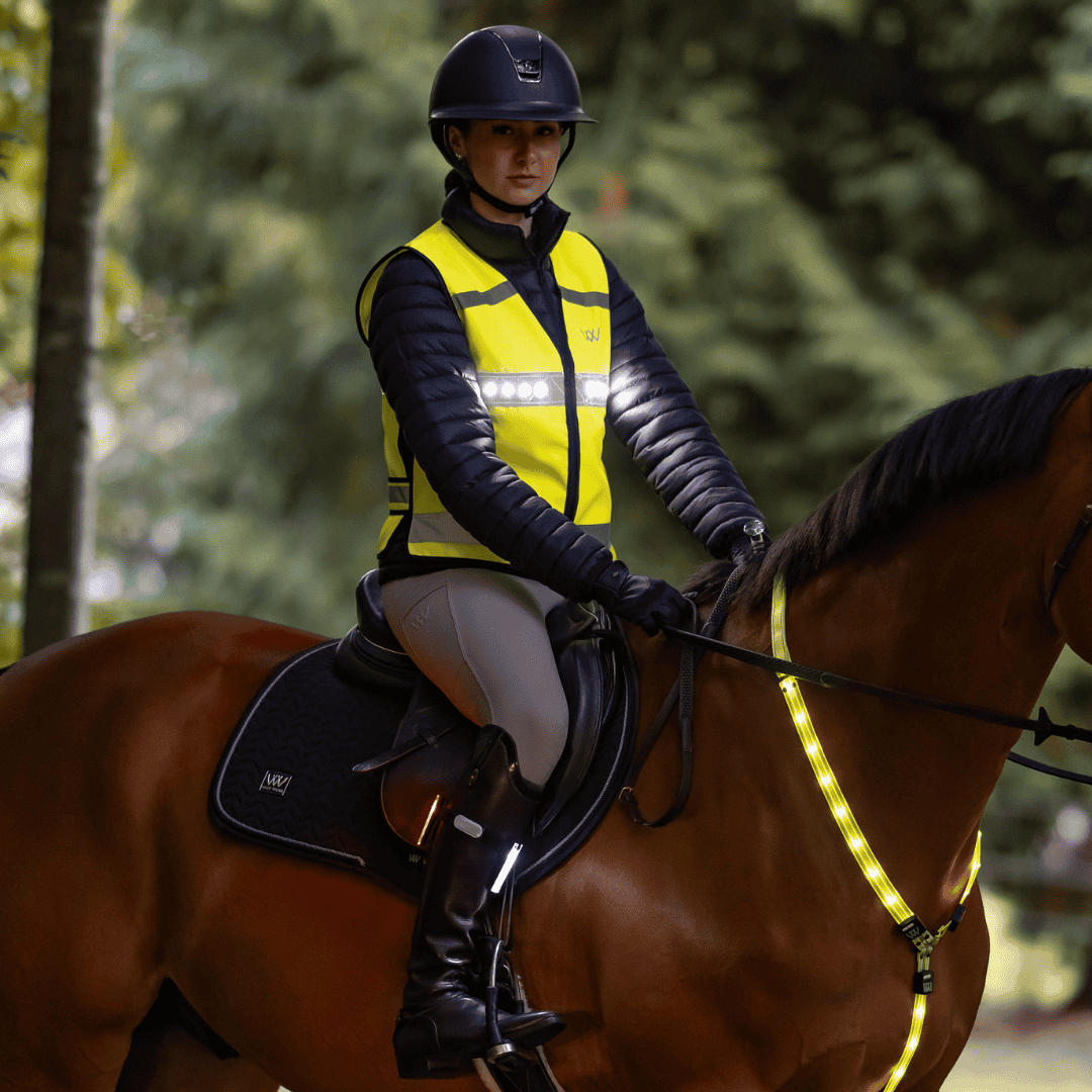 Safety Gear - Rider Safety Gear - Rider