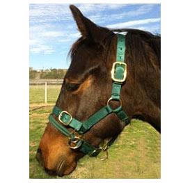 Green Dually halter in size xsmall