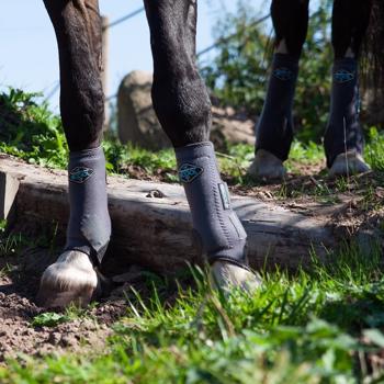 Overheating of the horse's legs - what can you do? 