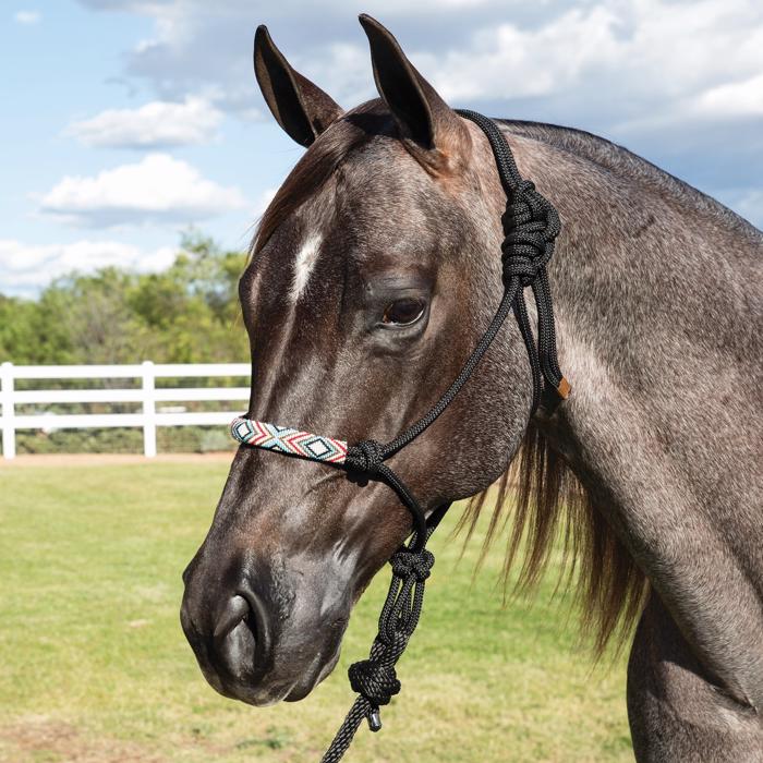 Prof. Choice | Beaded Rope Halter