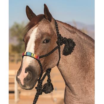 Prof. Choice | Beaded Cowboy Braided Rope Halter