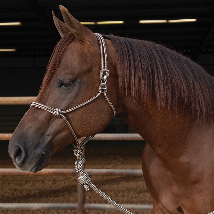 Rope Halters