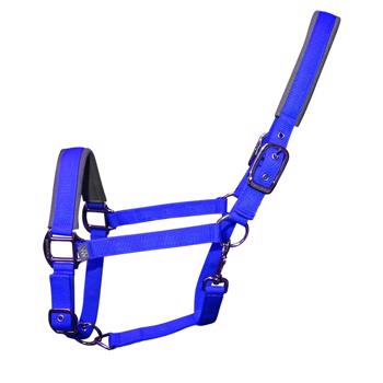 Woof Wear | Contour Head Collar | Electric Blue