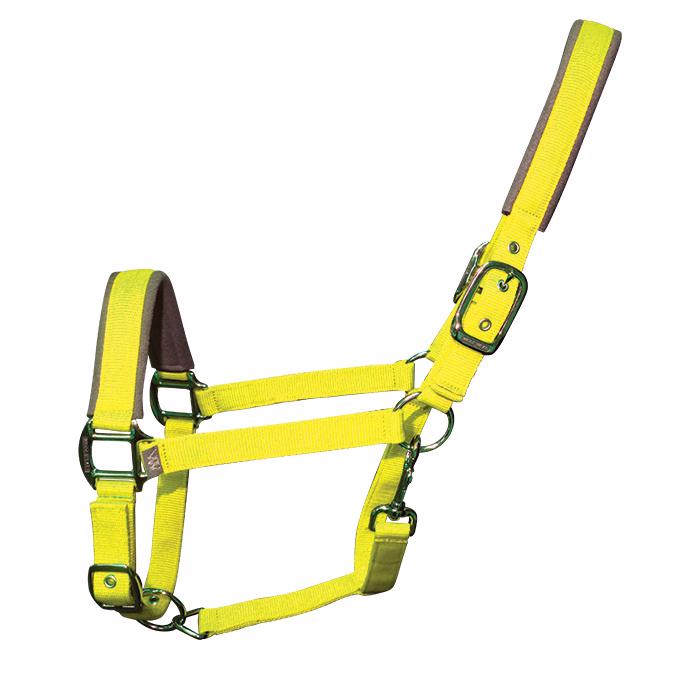 Woof Wear | Contour Head Collar | Sunshine Yellow