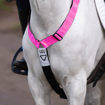 Woof Wear | Hi Vis Neck Band | Pink