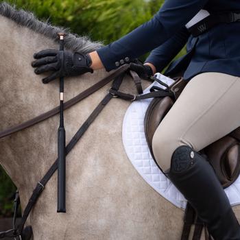 Woof Wear | Pro Showjumping Bat